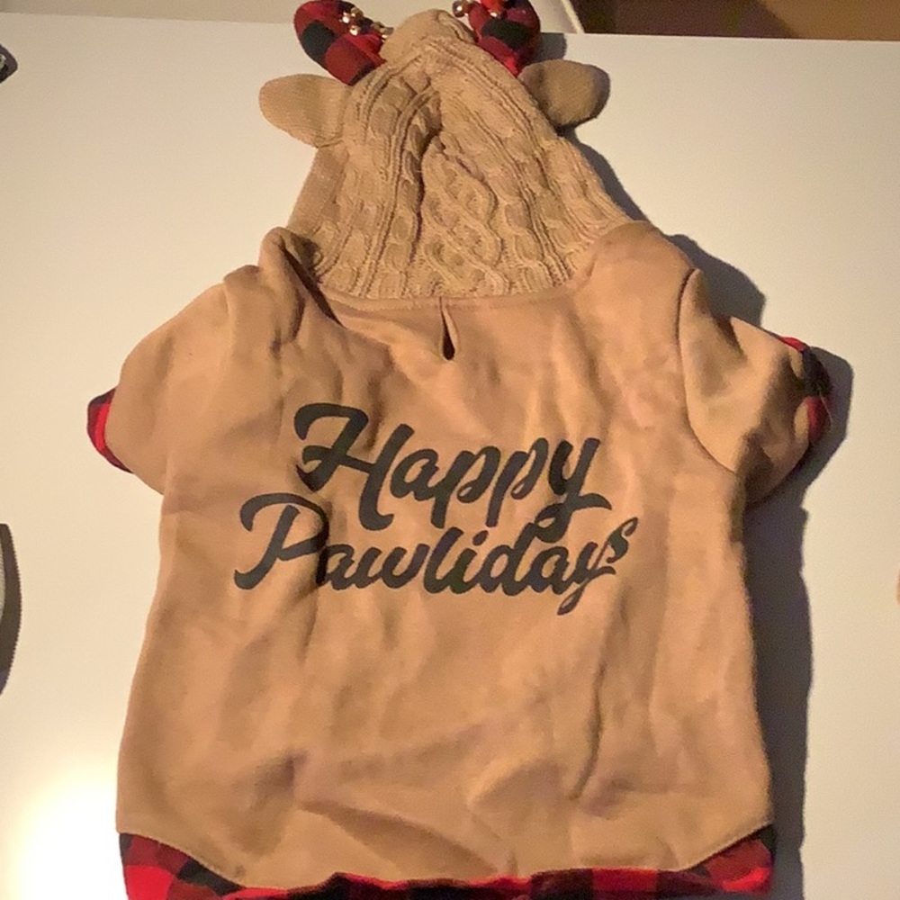 CLOTHING - Picture 4 of 16